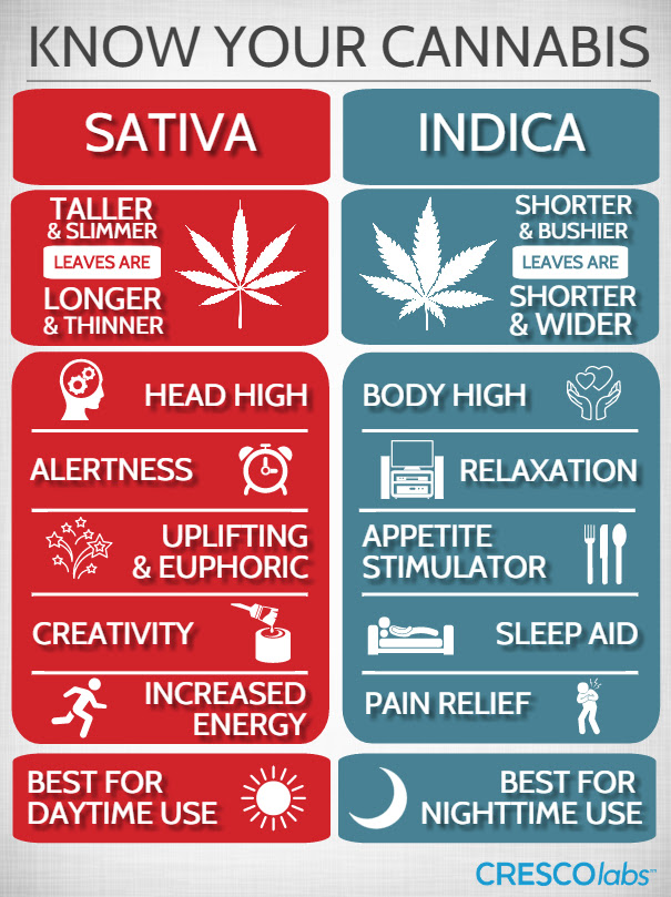 Cannabis Types
